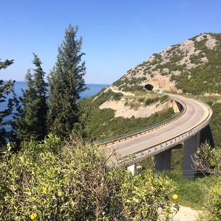Monte Swiss *